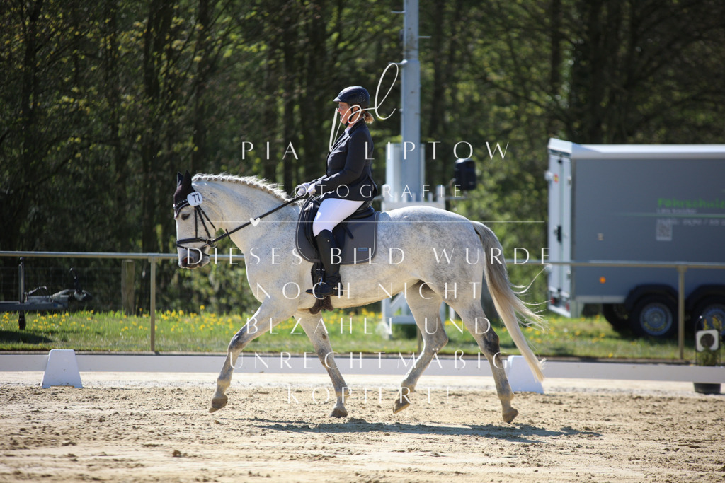 IMGT9716 | pl-fotografie