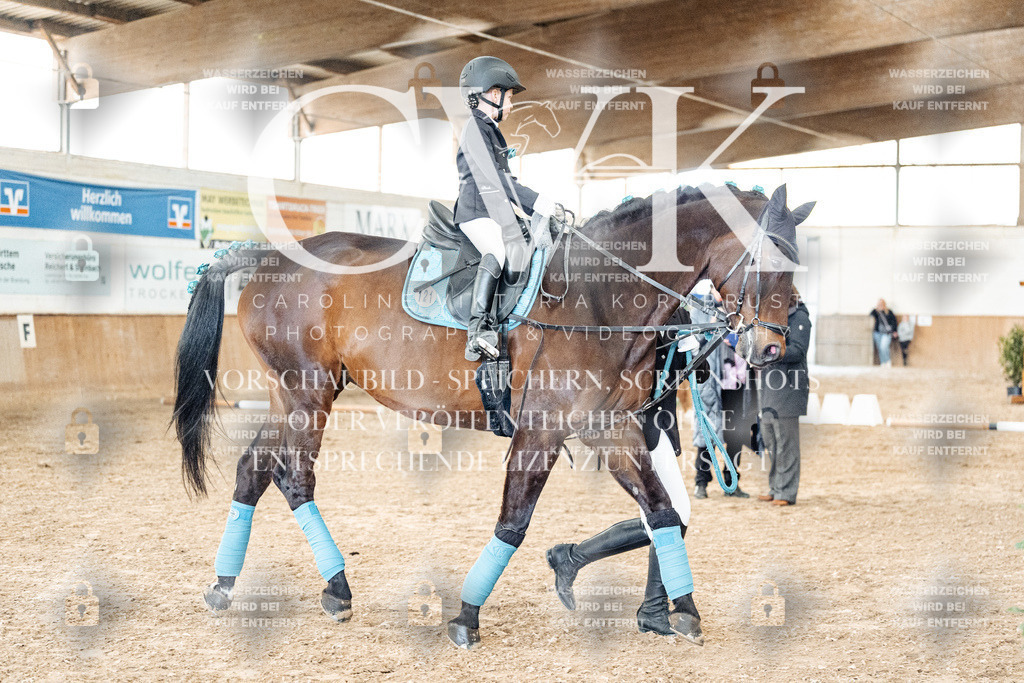 CK905592 | Turnierfotografie Pferdefotografie Trier Rheinland-Pfalz Pferdesport Reitsport Tierfotografie Sportfotografie Pferdevideo Pferdevideografie Equestrianvideography equestrianphotography  - Realized with Pictrs.com