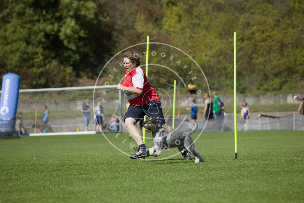 0L8A6600 | Hundefotografie, Tierfotograf, Pfotenfotografie, Fotoshooting Hund, Hunde Portrait, Hundesport, Hundeportraits, Heideshooting, Hunde, Sportfotograf, Hundefotograf, Turnierhundsport, THS,  - Realisiert mit Pictrs.com