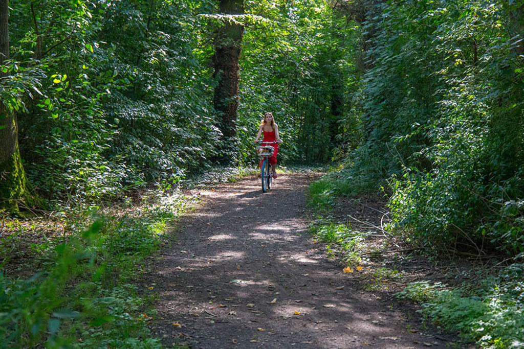agra-Park - Dölitzer Holz | Entdecke über 20 Kategorien Leipzig-Motive: Foto-Downloads, hochwertige Poster, Leinwand- & Fine-Art-Prints. Jetzt Lieblingsfoto im Bildlexikon Leipzig Shop bestellen!