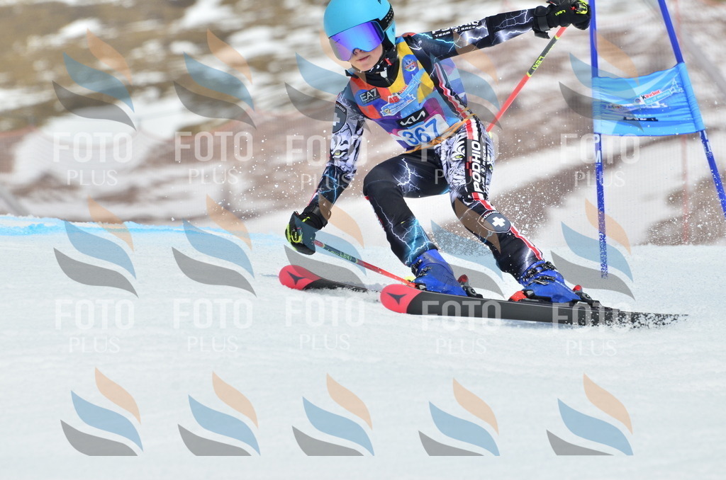 _ELE2966 | holidayphoto