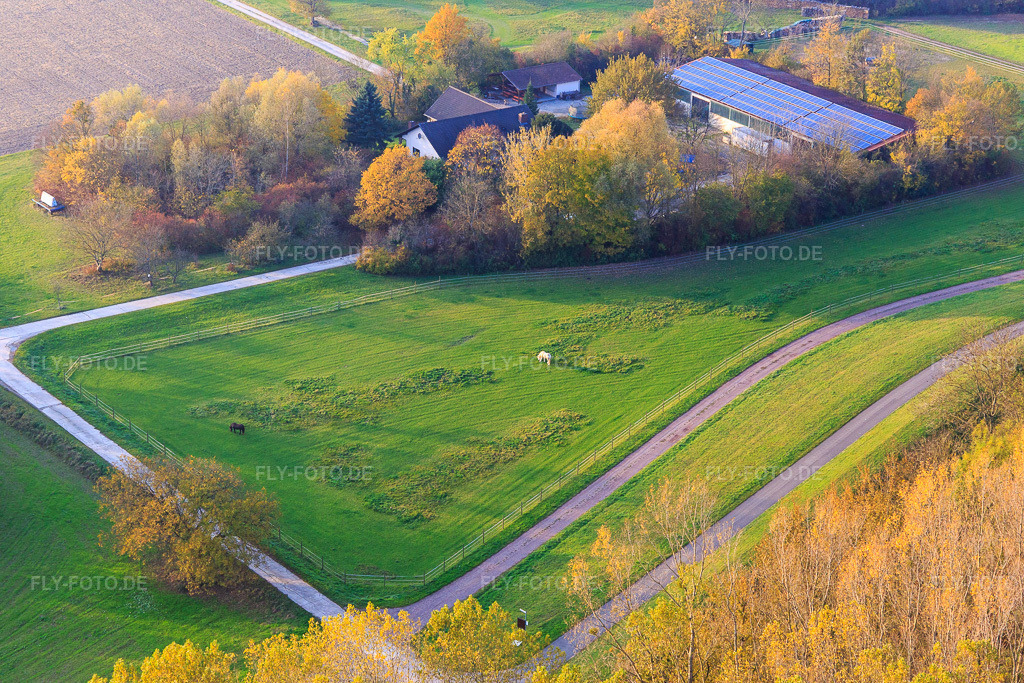 Luftbild: Seehof - Landwirtschaft hnterm Rheindamm in Leimersheim im Bundesland Rheinland-Pfalz in Deutschland. Foto: IMG_104475.jpg vom 03.11.2017 durch Werner Riehm/FLY-FOTO.de