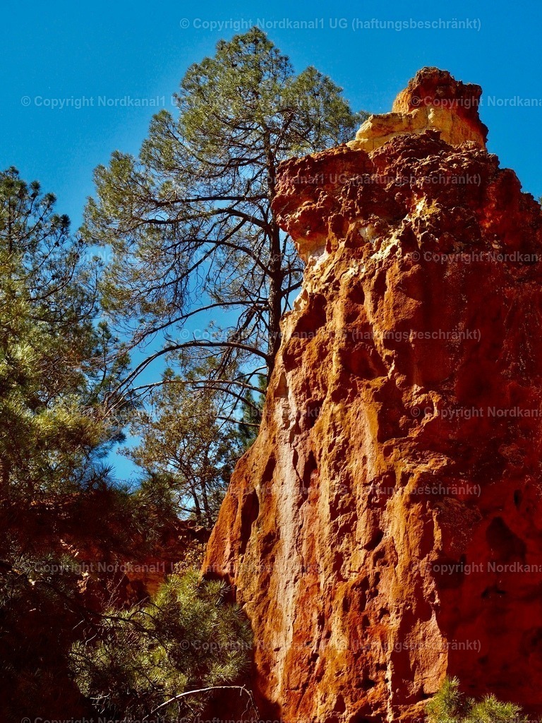 IMG_2929 | OLYMPUS DIGITAL CAMERA          - Realisiert mit Pictrs.com