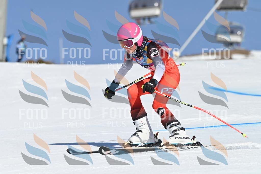 BGV_7589 | holidayphoto