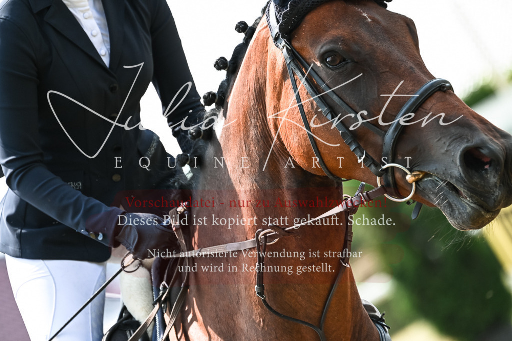DSC_9122 | Pferde- und Turnierfotografie in Westsachsen. Pferdeportraits, Auftragszeichnungen und intuitive Kunst.