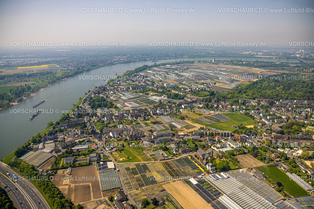 Duesseldorf240501356 | Luftbild, Gartenbau Anlagen, Volmerswerther Deich am Fluss Rhein, Volmerswerth, Düsseldorf, Rheinland, Nordrhein-Westfalen, Deutschland