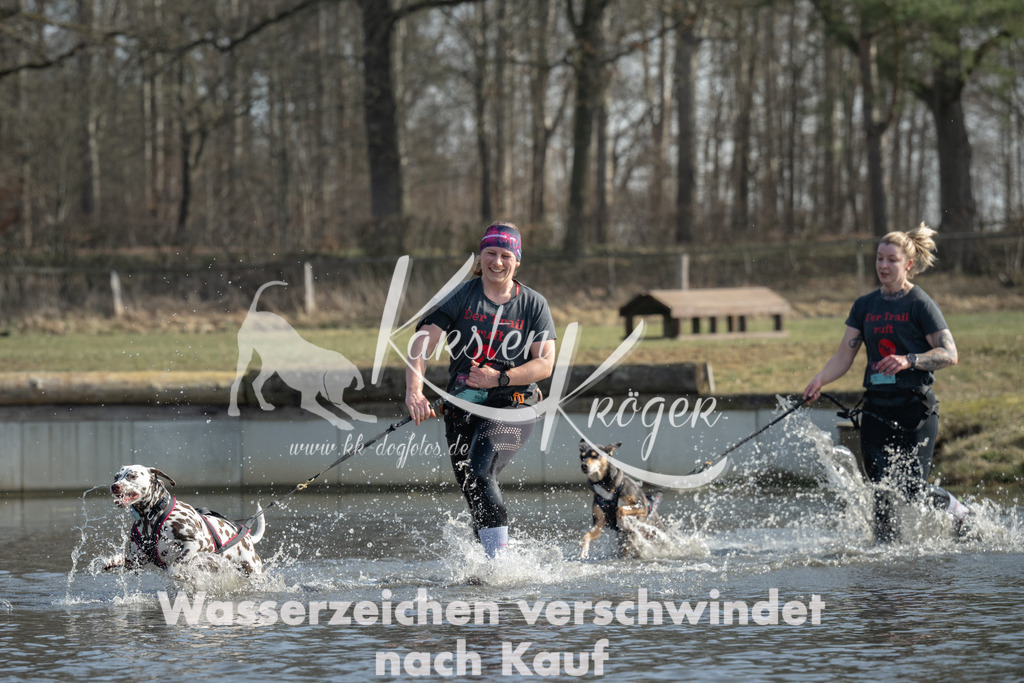 1254_ZZ92765 | kk-dogfotos