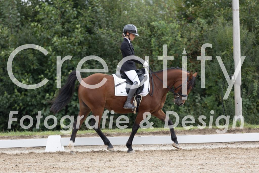 IMG_0556 | Creatify Fotografie