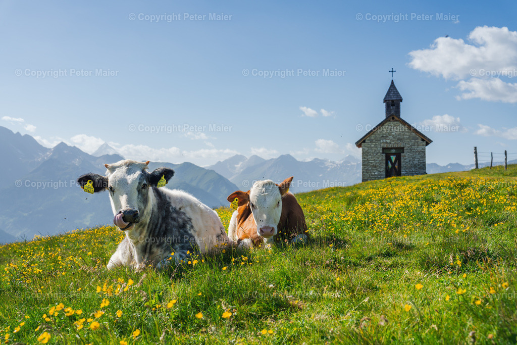 DSC01985 | piet_flosse