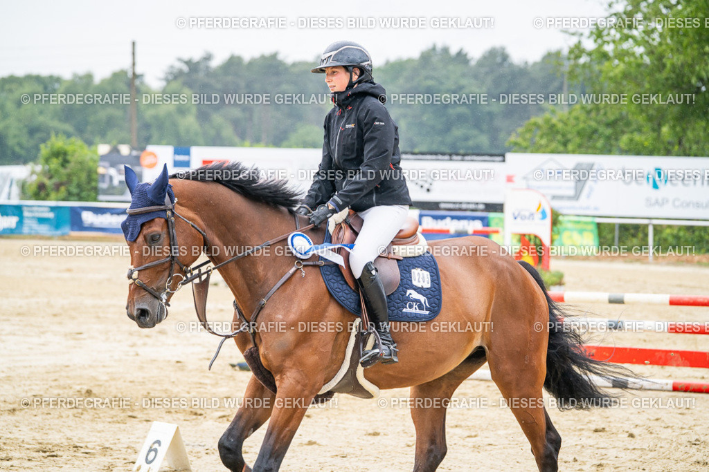 DSC03183 | Pferdegrafie