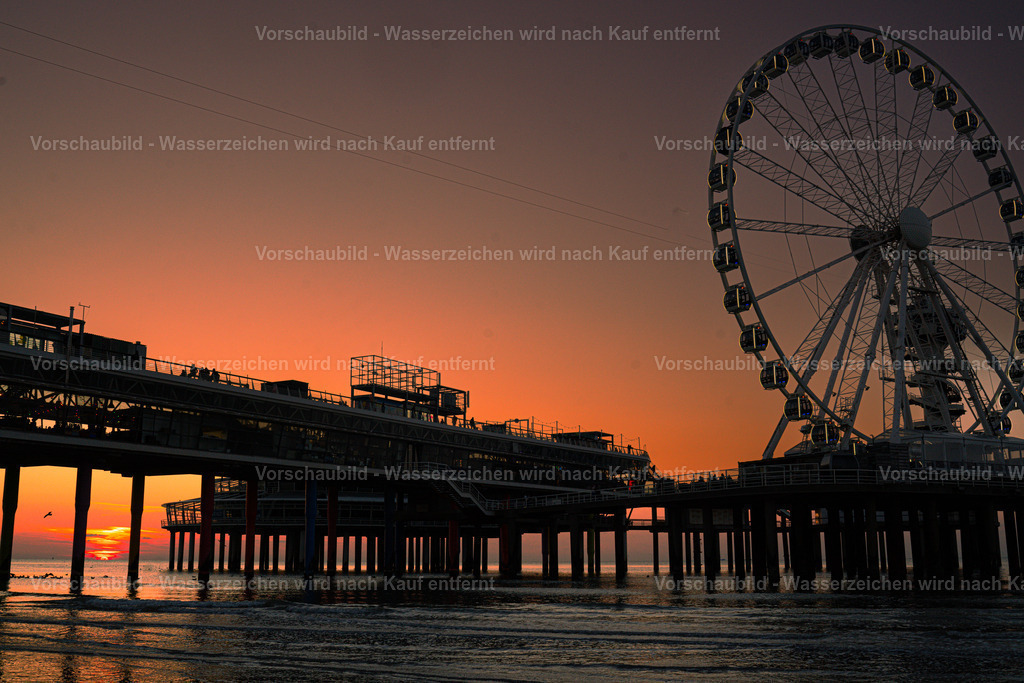 DSC04998 | marcuslinek