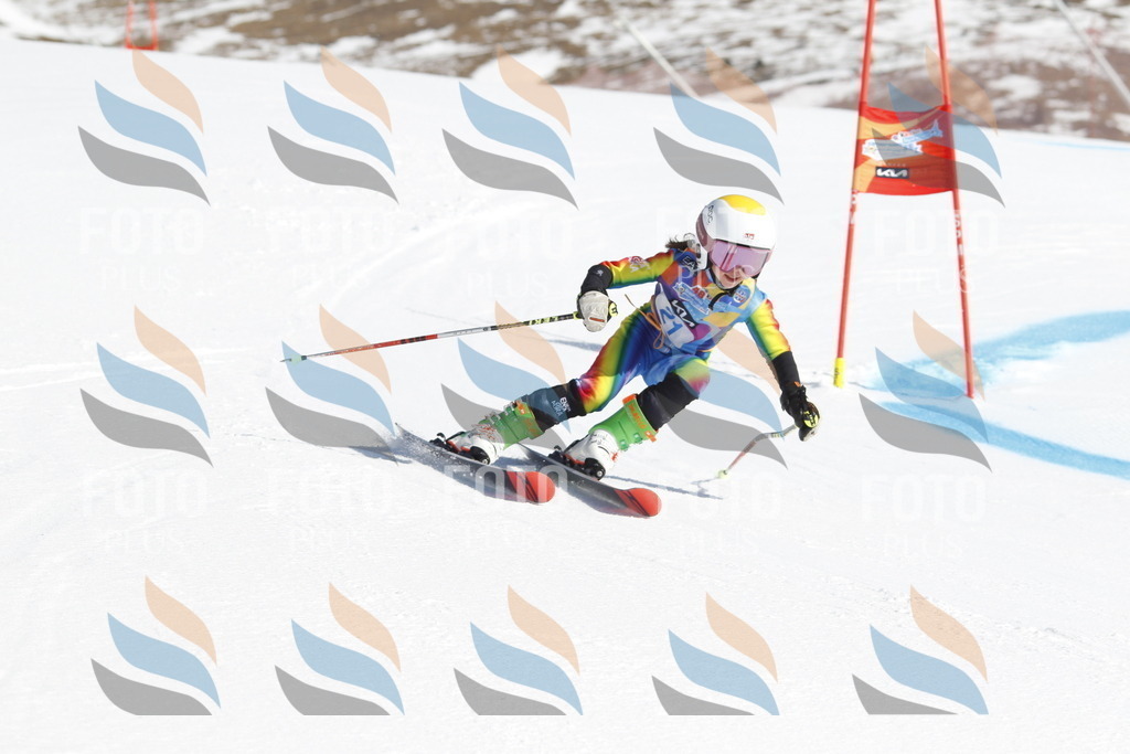 _U3G8881 | holidayphoto