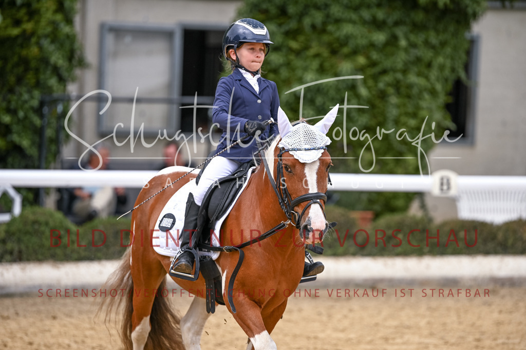 Schugtsche-Aluta25-44.DresssurreiterWB-343 | Schugtsche Fotografie - Realisiert mit Pictrs.com