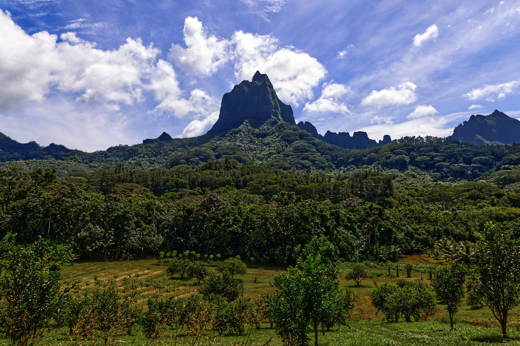 1H5A4134 | ansichtssache