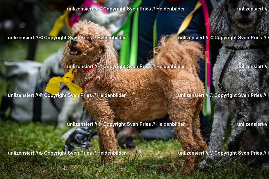 Sven Pries | 2025-05-29 - Pudelrennen KA-Durlach - Realisiert mit Pictrs.com
