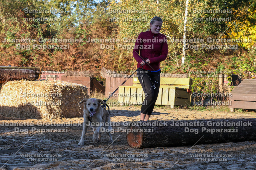 Dog Paparazzi - Strongdog 10-25-884 | Dog Paparazzi Jeanette Grottendiek Fotografie & Videografie - Realisiert mit Pictrs.com