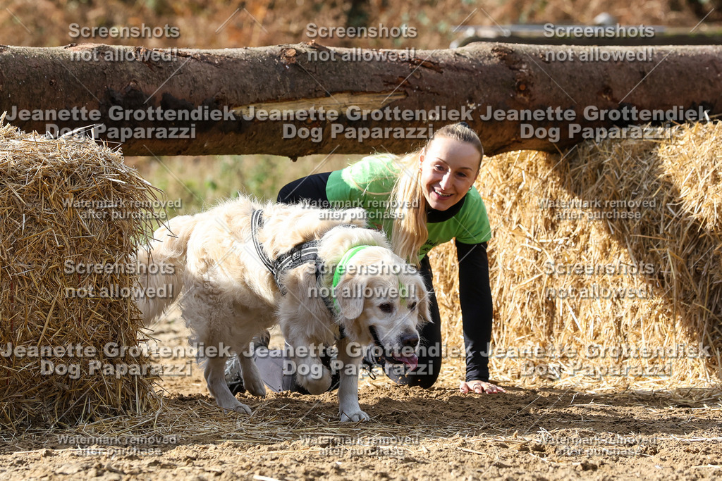 Dog Paparazzi - Strongdog 10-25-5106 | Dog Paparazzi Jeanette Grottendiek Fotografie & Videografie - Realisiert mit Pictrs.com