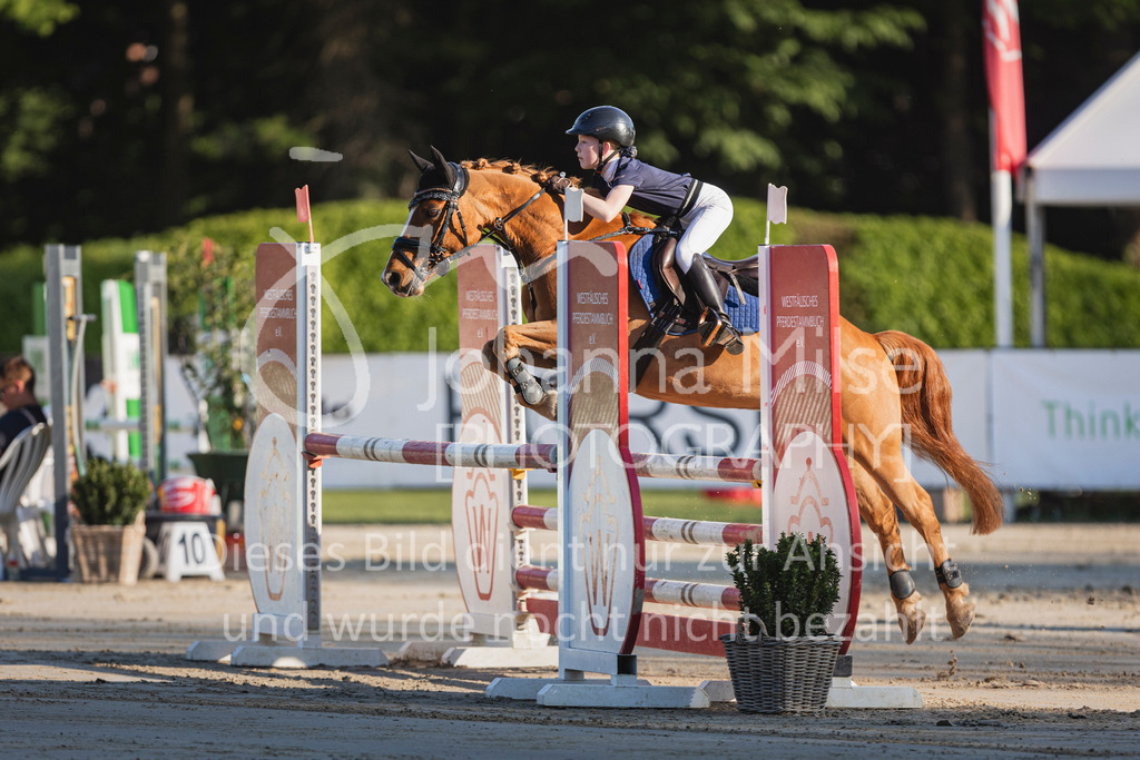 250501_MünsterHandorf_PonyTrophy-314 | Deine schönsten Turniermomente als professionelle Fotos! Entdecke hochwertige Pferdesport-Fotografie im Online-Shop. Jetzt Fotos finden & bestellen!