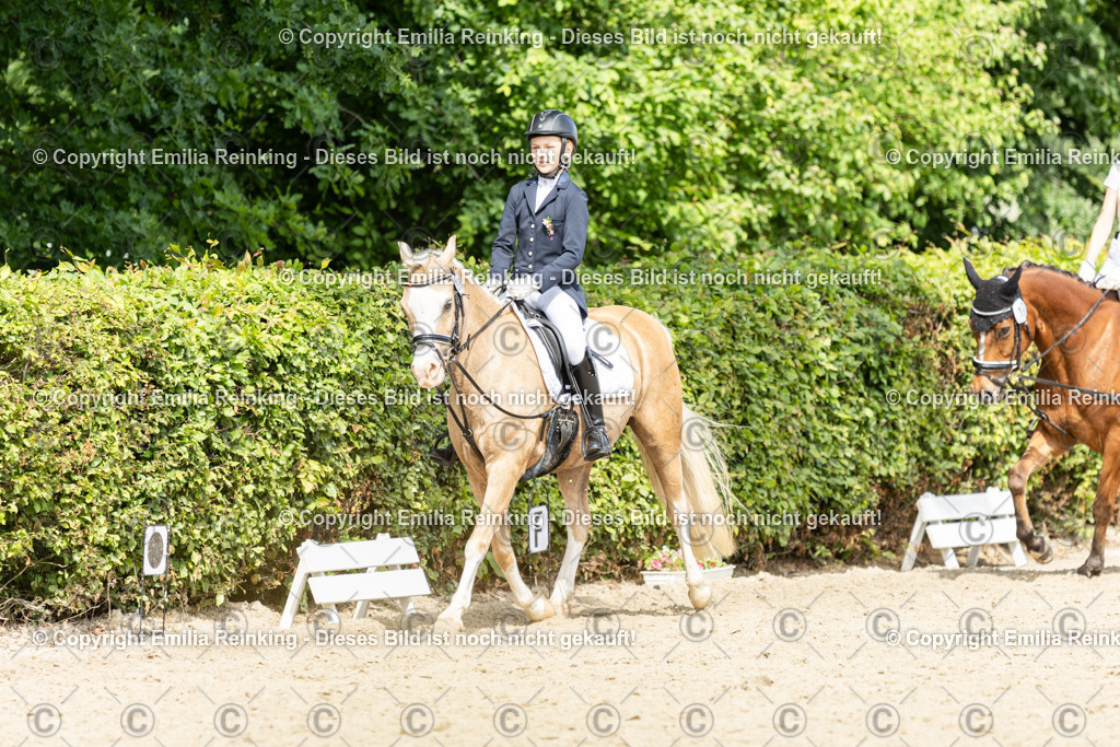 CL5A1246 | Emilia Reinking Fotografie - Realisiert mit Pictrs.com