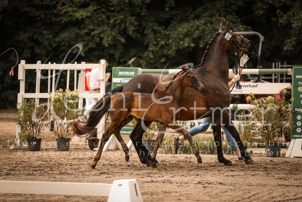 SaPA00328 | Leoni Ertmer Photography - Realisiert mit Pictrs.com