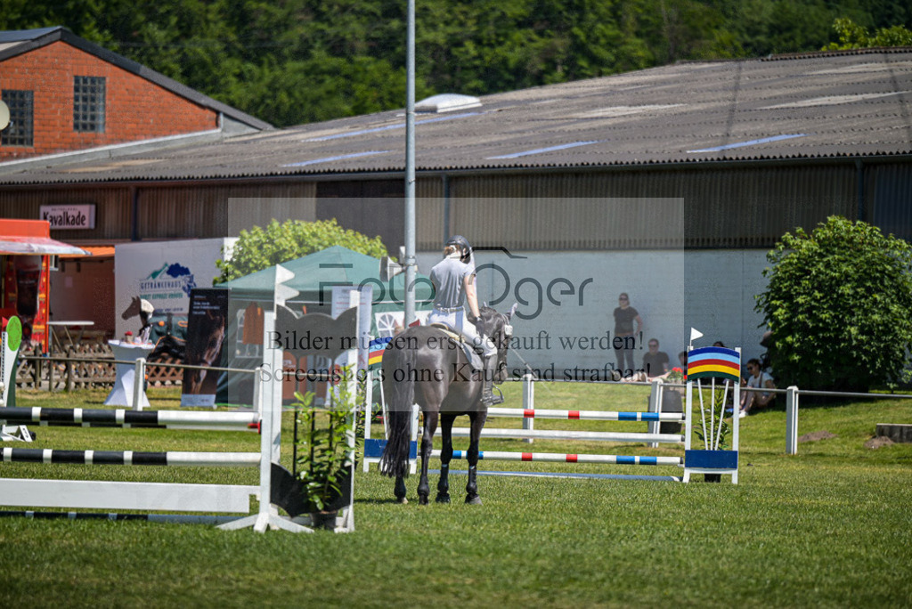 Reitturnier Voxtrup | Entdecke hochwertige Reitturnierfotos von Foto Oger. Professionell, emotional und authentisch – jetzt Lieblingsmomente im Shop bestellen. - Realisiert mit Pictrs.com