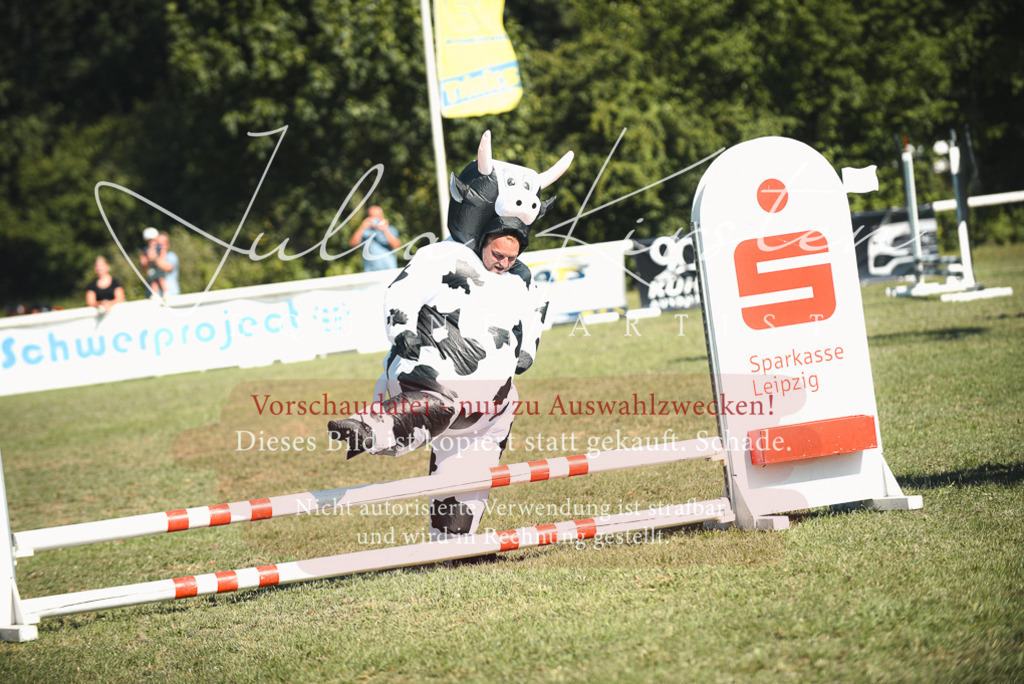 DSC_7745 | Pferde- und Turnierfotografie in Westsachsen. Pferdeportraits, Auftragszeichnungen und intuitive Kunst.