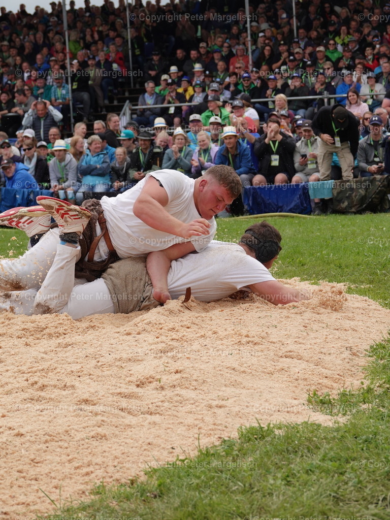 DSC08041 | Schwingen - Realisiert mit Pictrs.com