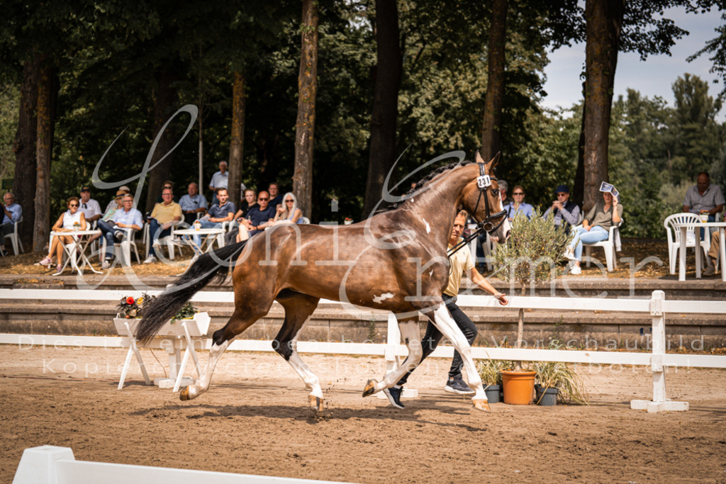 2. Fr00167 | Leoni Ertmer Photography - Realisiert mit Pictrs.com