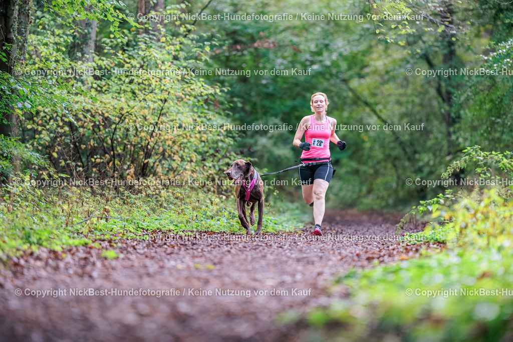 THS-HSV-Blumenthal-2026-Nickbest-Hundefotografie-0146 | Dein Hund! Dein Moment! Deine Erinnerungen! Hundefotografie in Bremen Blumenthal. Ich fange die besonderen Momente deines Vierbeiners ein – ob Indoor mit Blitzanlage oder in der freien Natur. Sicher dir dein Moment und dein Termin für eure Erinnerungen.