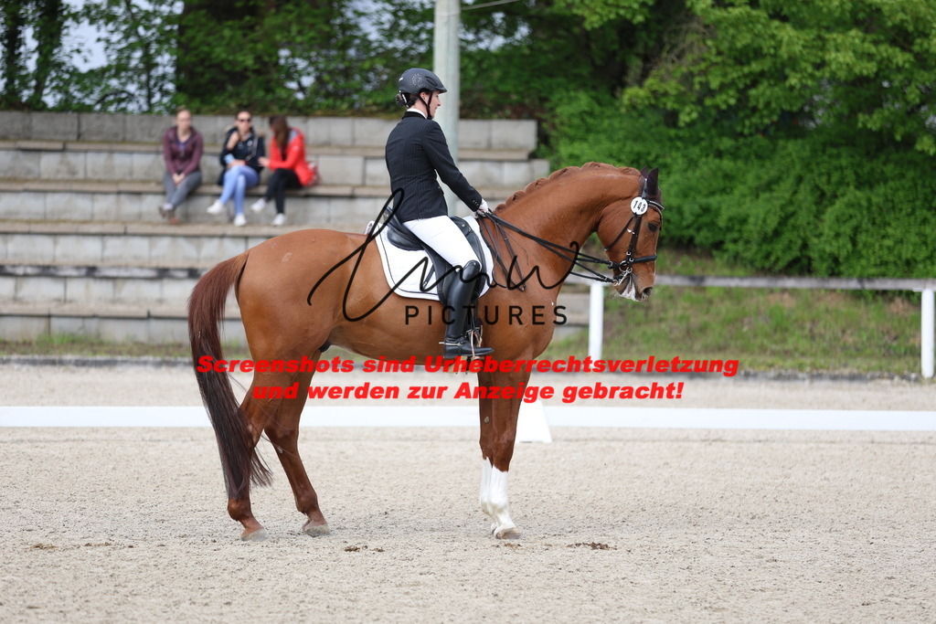 A40A4009 | lmwpictures - Realisiert mit Pictrs.com