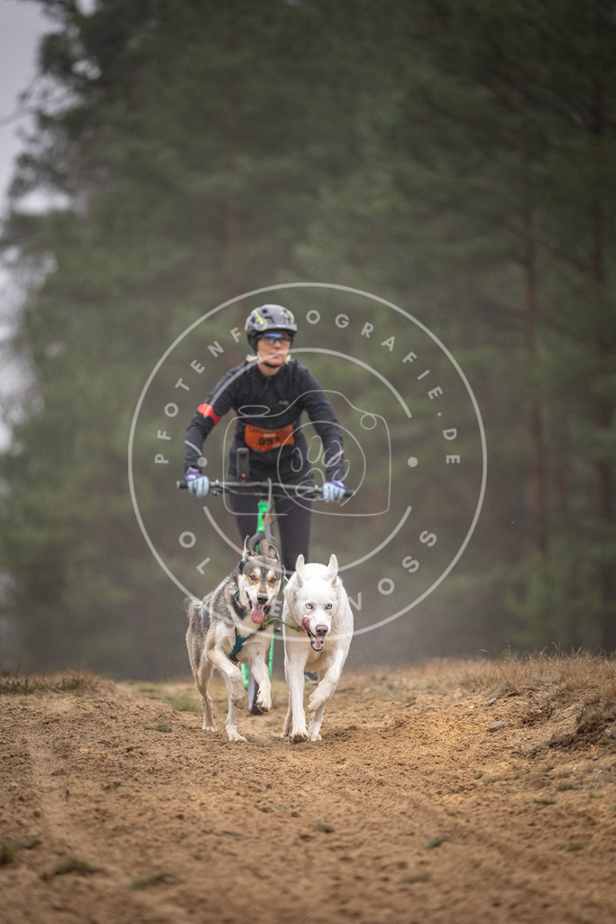 Pfotenfotografie_DV3A1239 | Hundefotografie, Tierfotograf, Pfotenfotografie, Fotoshooting Hund, Hunde Portrait, Hundesport, Hundeportraits, Heideshooting, Hunde, Sportfotograf, Hundefotograf, Turnierhundsport, THS,  - Realisiert mit Pictrs.com