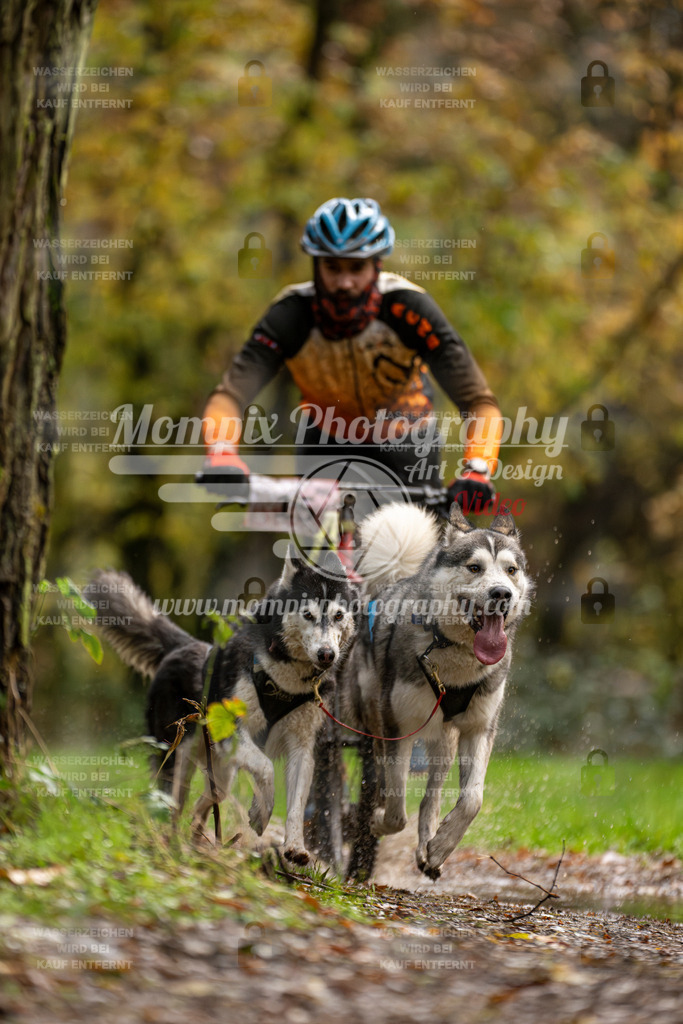 MompixPhotography_Bischwiller23_DS2-10 | PayLife