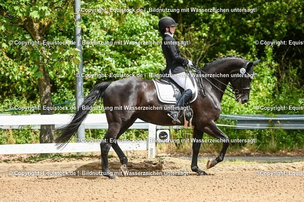 20230716_01_Dressurprüfung Kl.M_0008 | equistock
