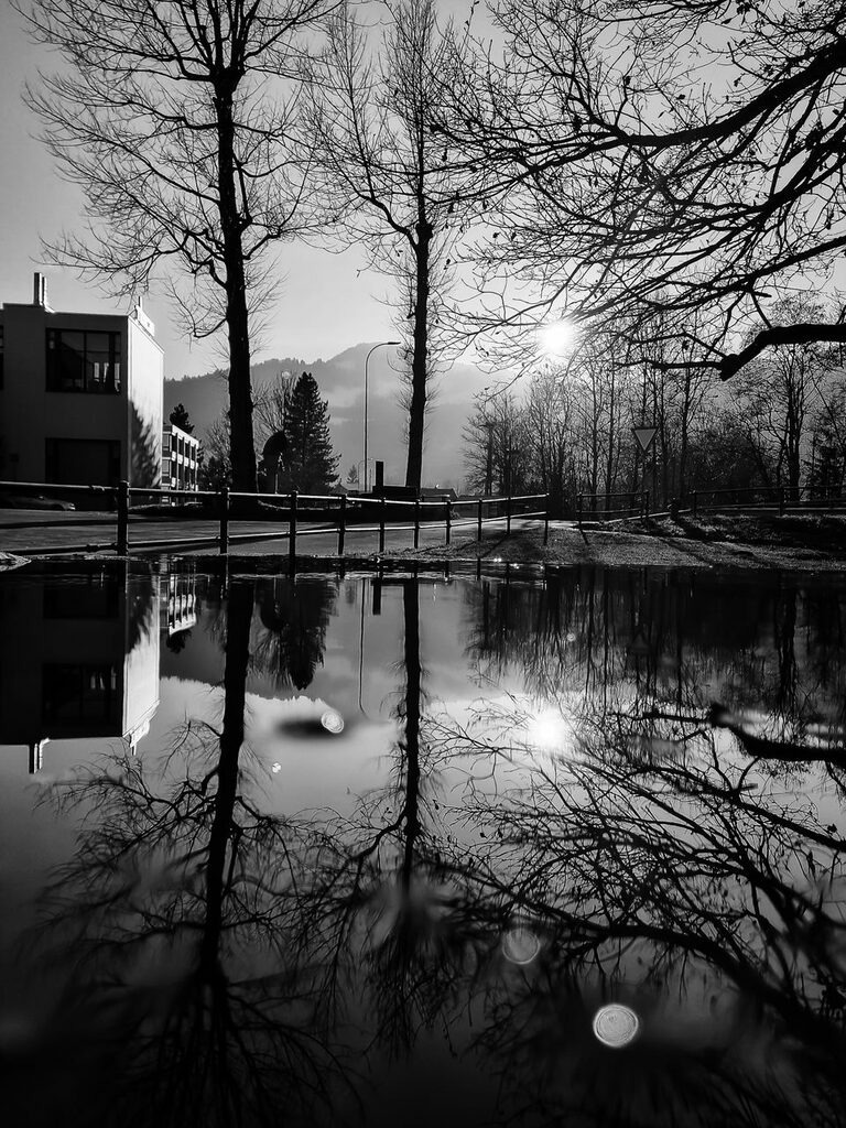 PSX_20221208_145230 | mtkfoto_ - Realisiert mit Pictrs.com