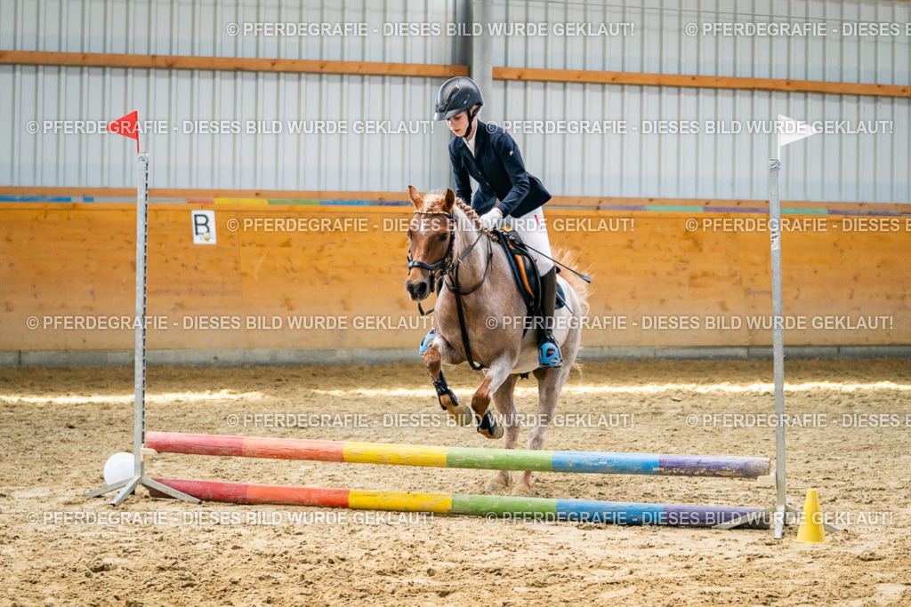 DSC02341 | Pferdegrafie