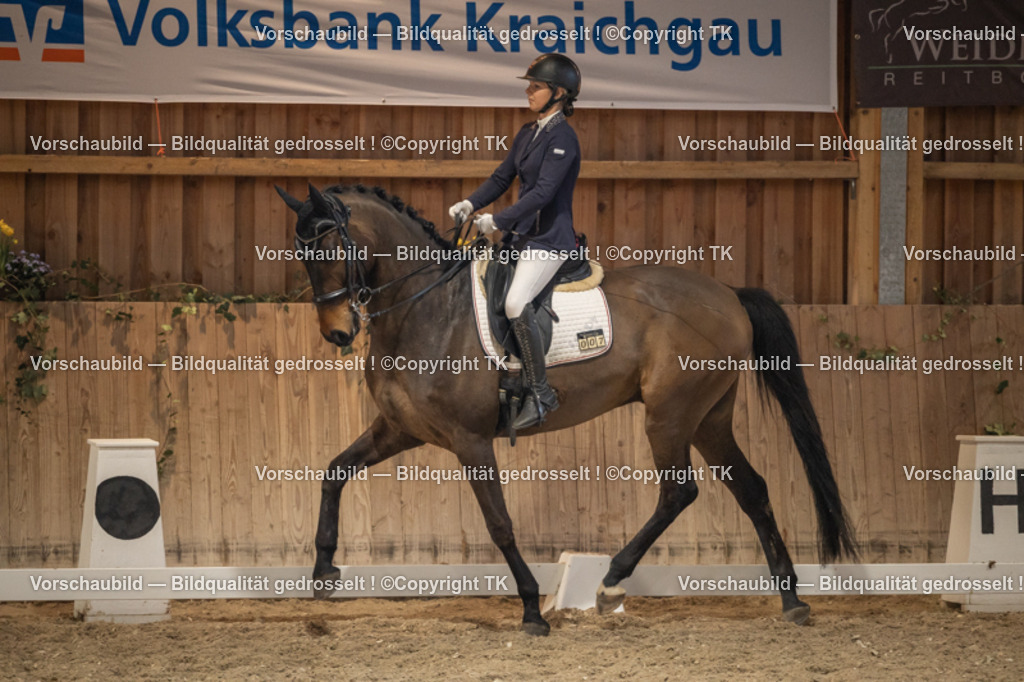 _D5A6637 | Emotionale Pferde- & People-Fotografie rund um Heidelberg, Leimen & Umgebung. Natürliche Fotos von Pferd, Mensch & Familie. Jetzt Termin sichern!