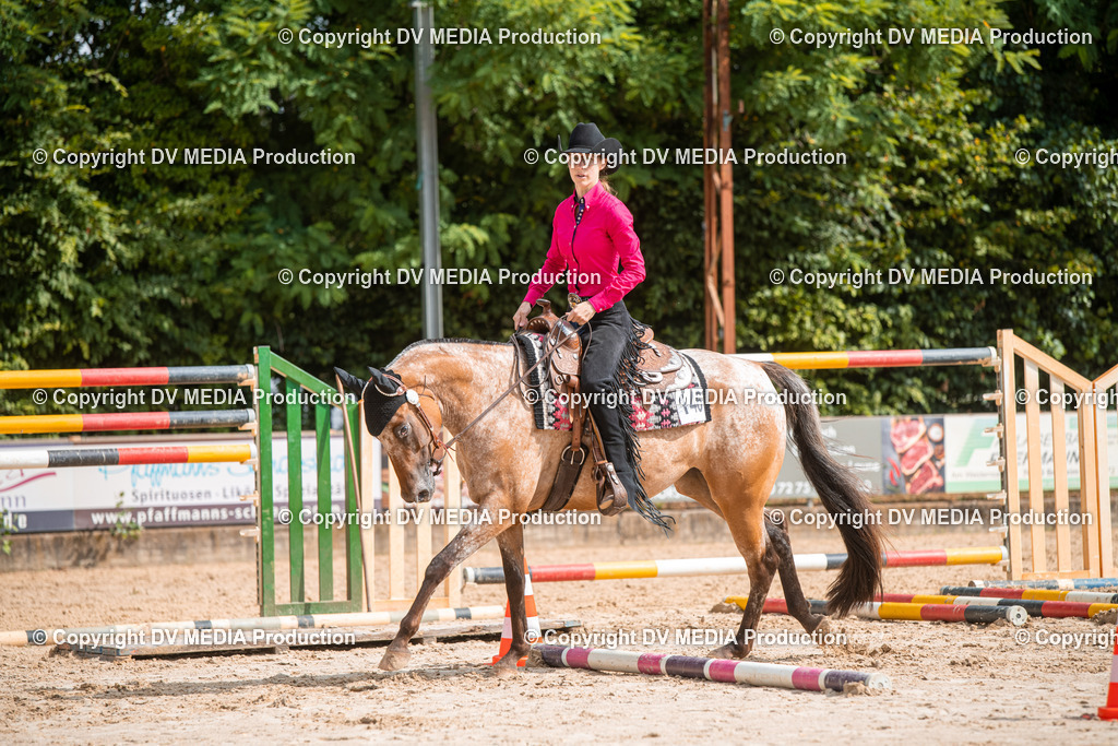 ZS3_9375 | dv-media-shop - Realisiert mit Pictrs.com