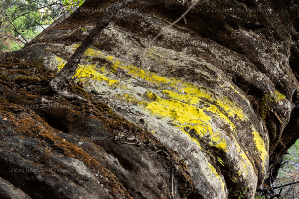 Obere_Affensteinpromenade_Felsen_Felswand_Struktur_Flechte | 2022-09-02_Waldbrandgebiete_2 - Realisiert mit Pictrs.com