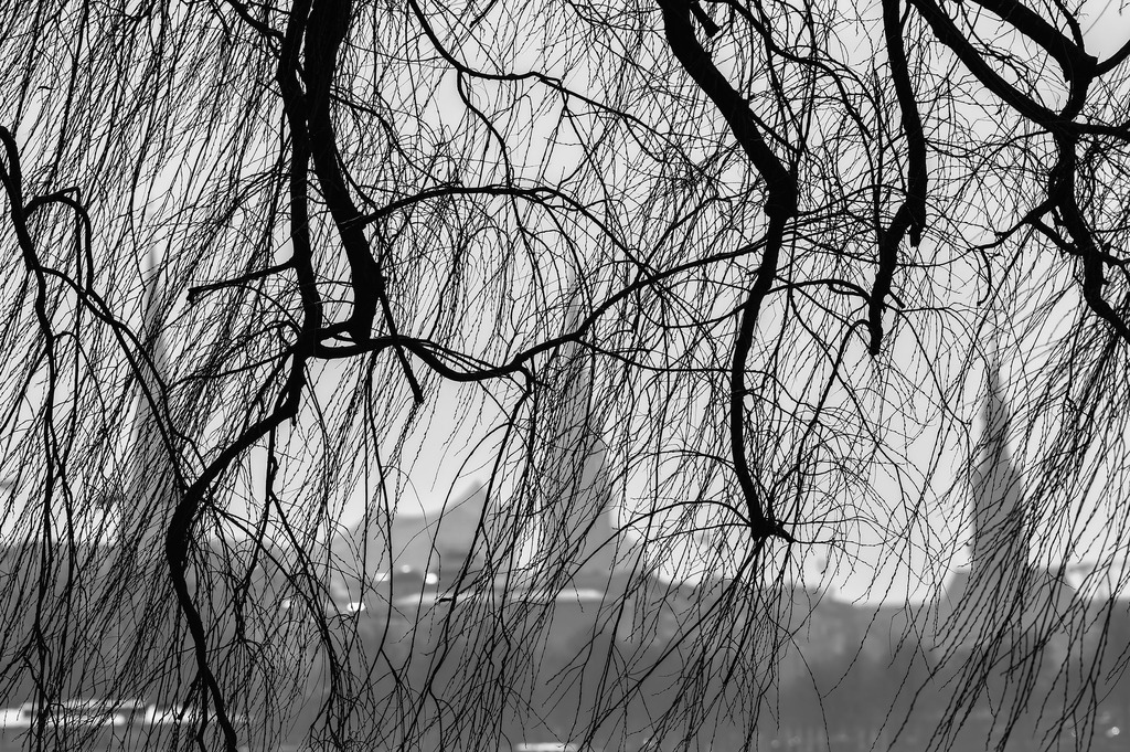 2025_03_03_HH-ALSTER_MCP6187 sw | Hochwertig gedruckte Fotografien für die Wand, als Kalender und zum Verschenken. Hamburg & Norddeutschland und überall wo ich mit der Kamera unterwegs war.