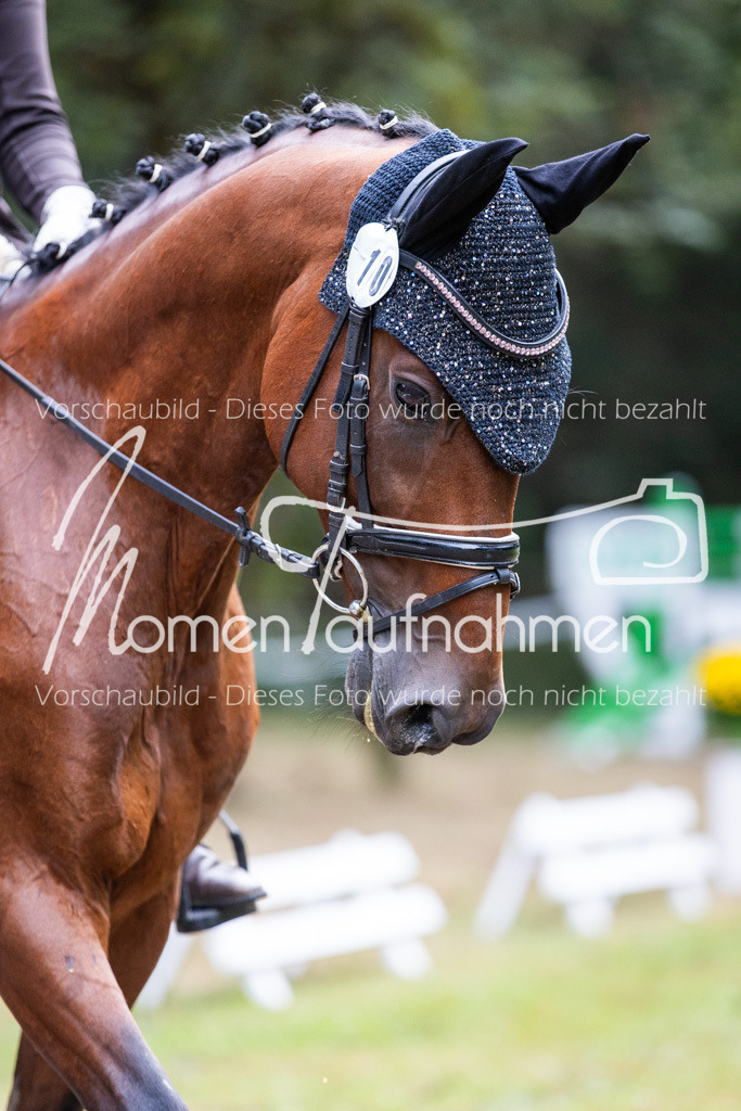HB-A-Dressur-004 | MomenTaufnahmen Pferdesportfotos