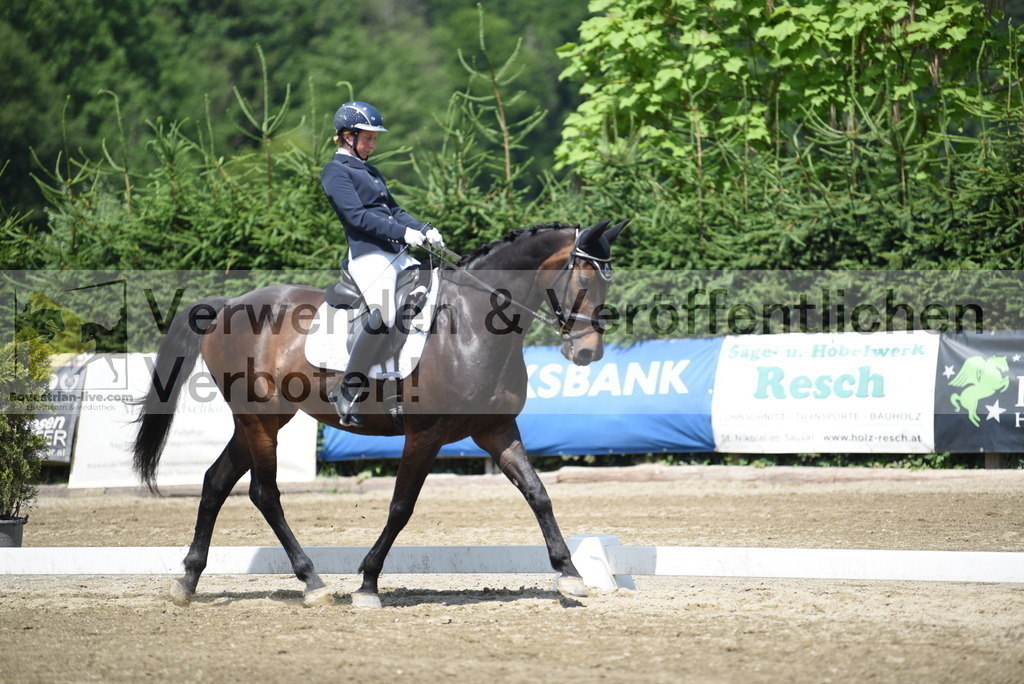 DSC_8942 | equestrian-live-com
