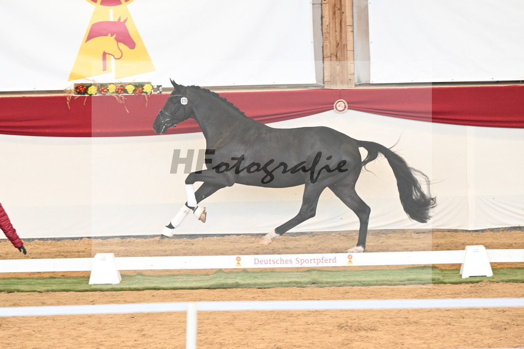Kat.-Nr. 79 v. Toto Jr._Pfefferle_3260948 | hf-fotografie - Realisiert mit Pictrs.com