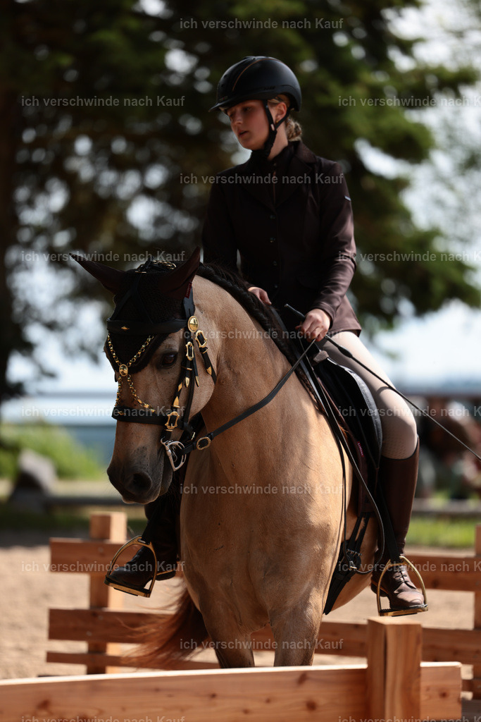 KlasseA_Stoibphotography_C2_L5495.JPG | working equitationturnier fotograf videograf stoibphotography marixx film working equitation deutschland reitsport turnierfotografie eventfotografie equestrian events