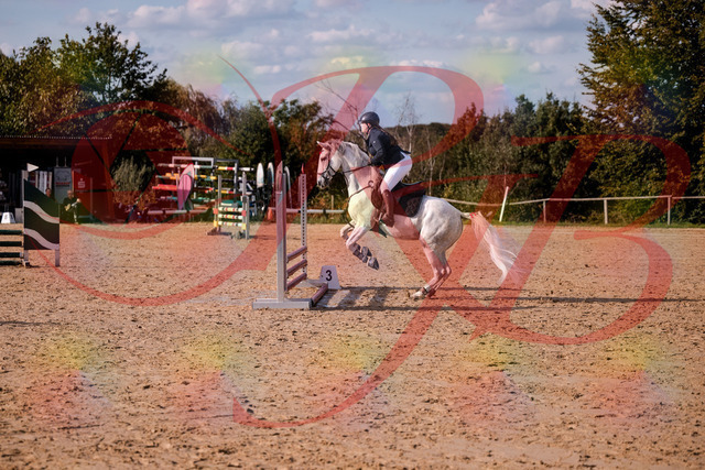 2026_10_03_Siefer-Hof_153935_Z81_54739539 | Professionelle Reitsport-, Turnier- und Eventfotografie von Robert Broda. Galerien mit ausgewählten und bearbeiteten Bildern direkt online ansehen und bestellen.