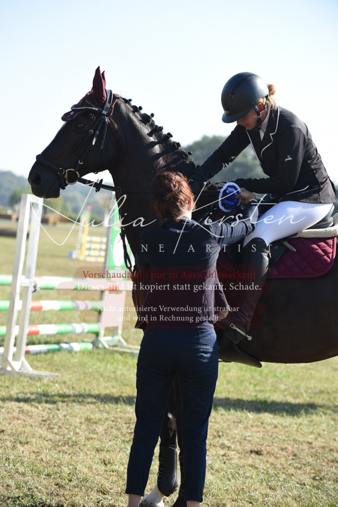 DSC_5455 | Pferde- und Turnierfotografie in Westsachsen. Pferdeportraits, Auftragszeichnungen und intuitive Kunst.