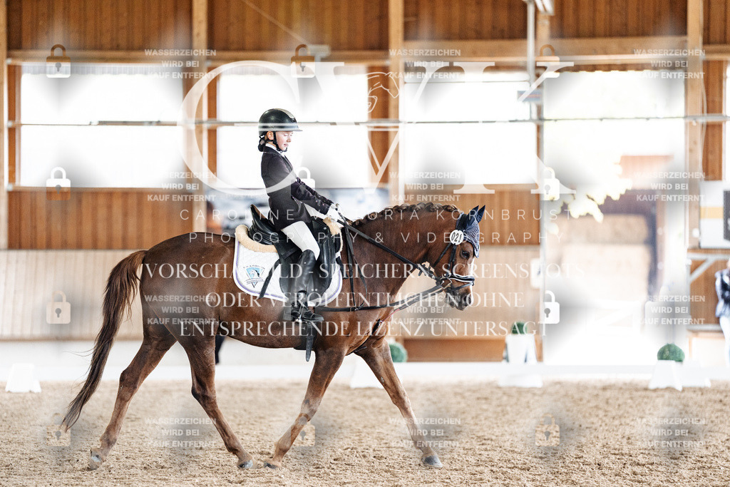 CK901648 | Turnierfotografie Pferdefotografie Trier Rheinland-Pfalz Pferdesport Reitsport Tierfotografie Sportfotografie Pferdevideo Pferdevideografie Equestrianvideography equestrianphotography  - Realisiert mit Pictrs.com