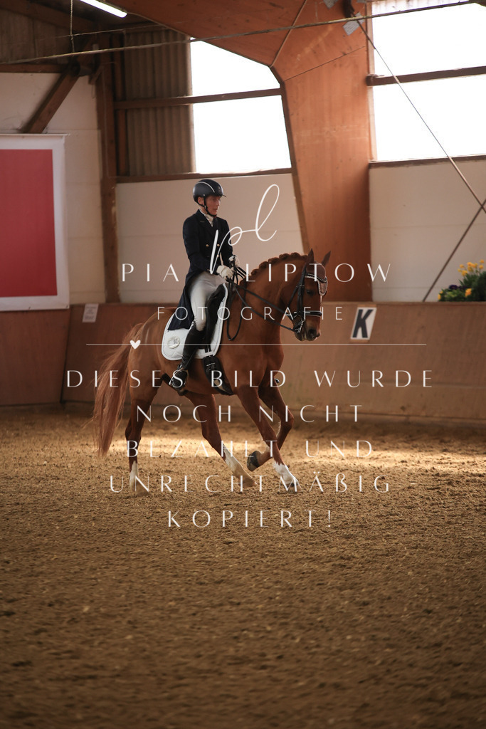 IMGT4580 | pl-fotografie