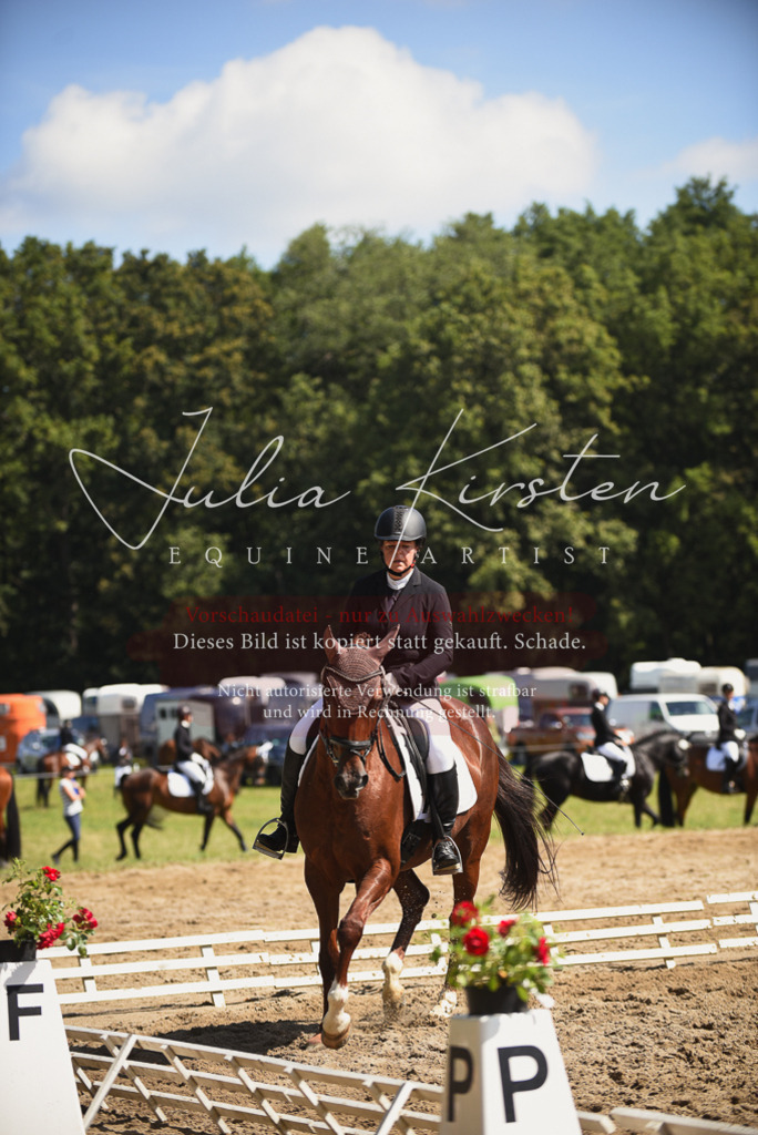 DSC_0519 | Pferde- und Turnierfotografie in Westsachsen. Pferdeportraits, Auftragszeichnungen und intuitive Kunst.