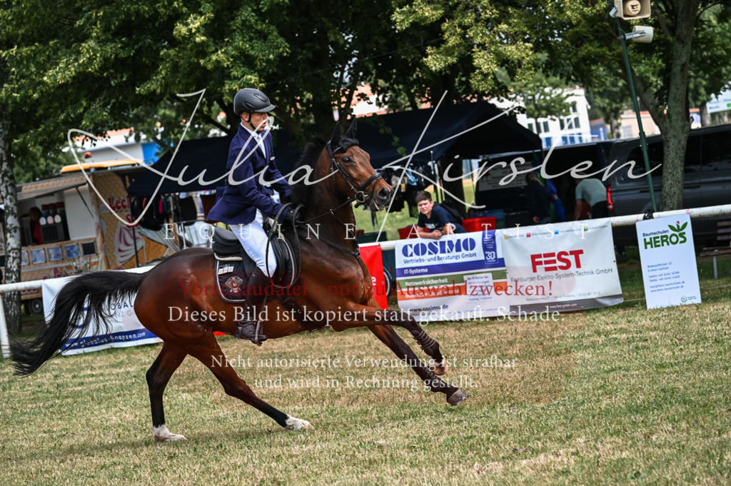 DSC_8391 | Pferde- und Turnierfotografie in Westsachsen. Pferdeportraits, Auftragszeichnungen und intuitive Kunst.