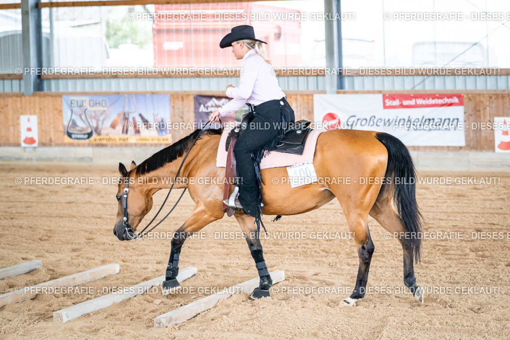 DSC09081 | Pferdegrafie